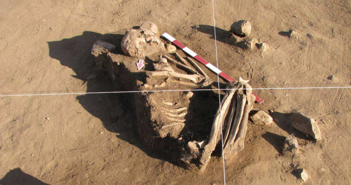 El hombre de Los Vilos