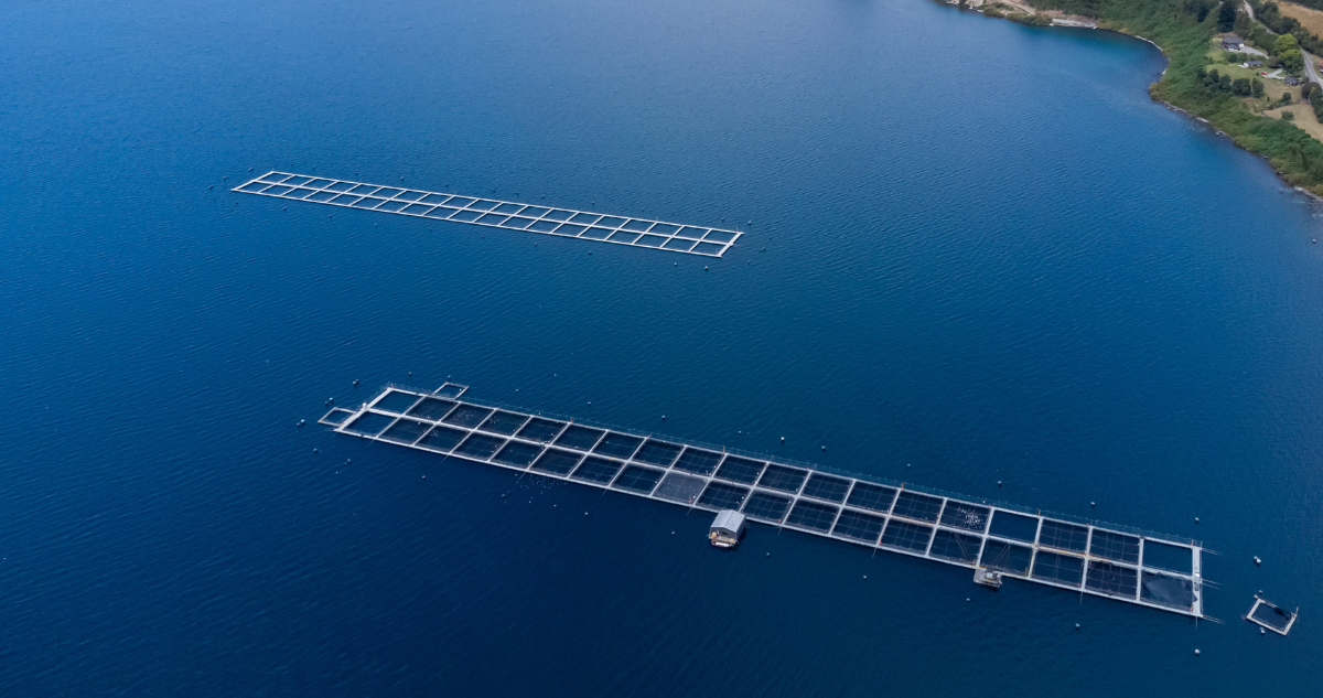 Foto de contexto de instalación de jaulas de cultivo de salmones.