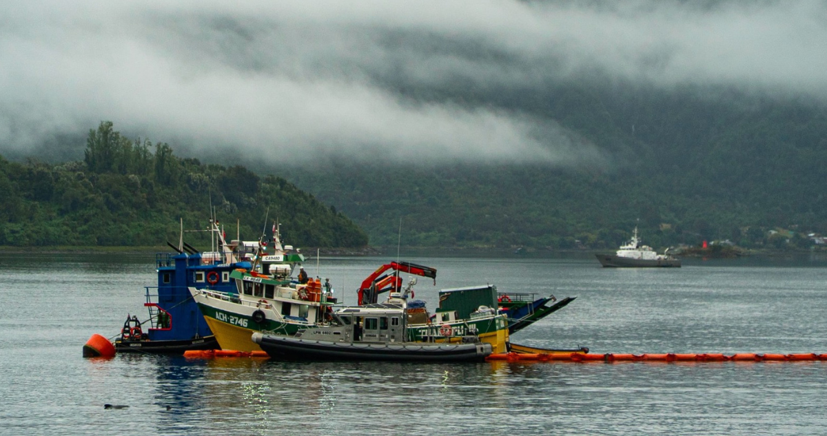 Hallan cuerpo de último extraviado tras hundimiento de catamarán en Los Lagos: tragedia dejó 6 muertos