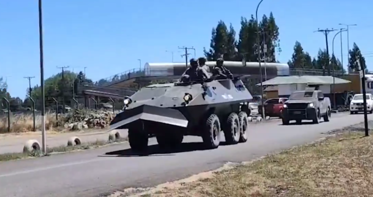 Con blindados, drones y el Ejército incautan plantación de marihuana en Ercilla