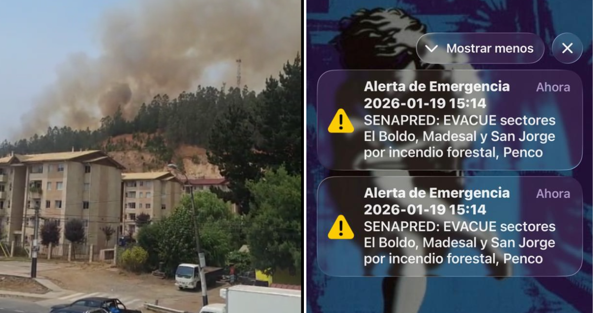 Senapred ordena evacuar sectores de Penco por incendio forestal
