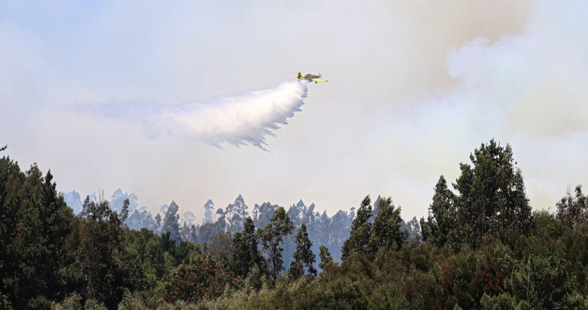 Gobierno declarará emergencia agrícola en La Araucanía por incendios: 400 productores con pérdidas