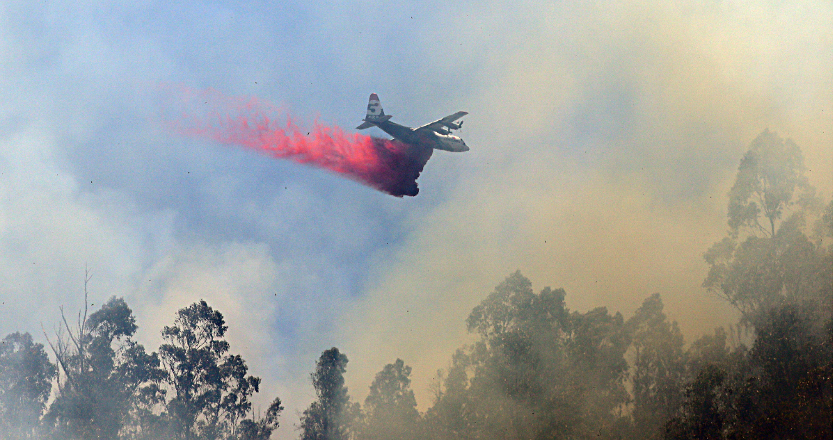Balance Conaf: 18 incendios forestales en combate y más de 41 mil hectáreas quemadas en 3 regiones