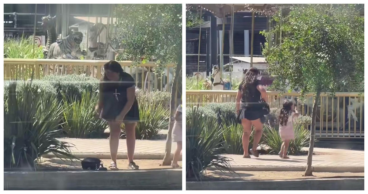 Captan a una mujer robándose a un pato bebé en laguna de Mall Plaza Oeste