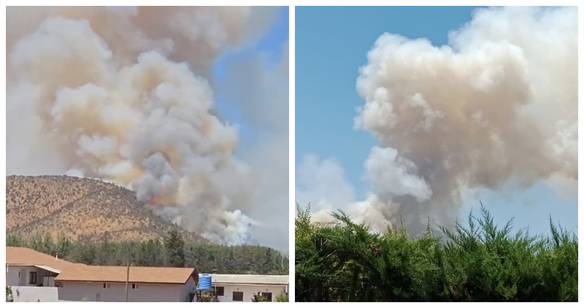 Reportan un incendio forestal en Puente Las Chiriguas en Melipilla