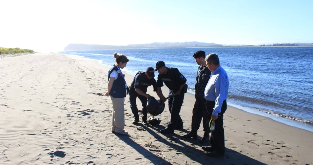 Fragata portuguesa en Playa de Maullín