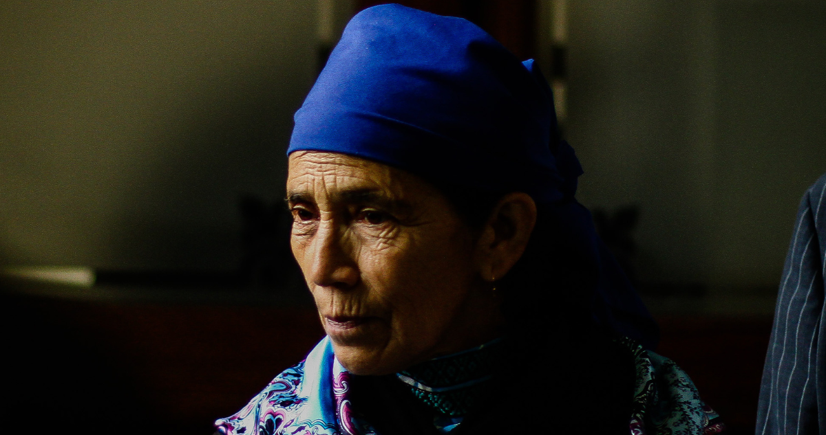 Multigremial de La Araucanía cuestiona compra de tierras de Conadi para comunidad de machi Linconao