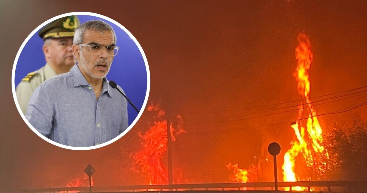 Gobierno confirma 15 muertos por incendios forestales en el Bío Bío