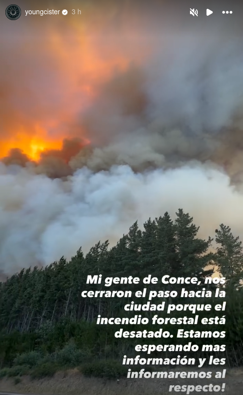 Instagram Stories de Young Cister