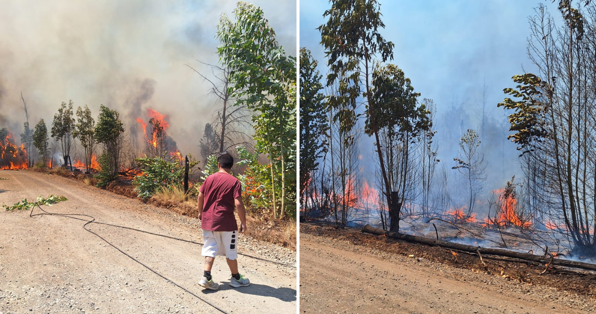 Incendio afecta sector de Tanahuillin en Santa Juana: Bomberos trabaja en el lugar