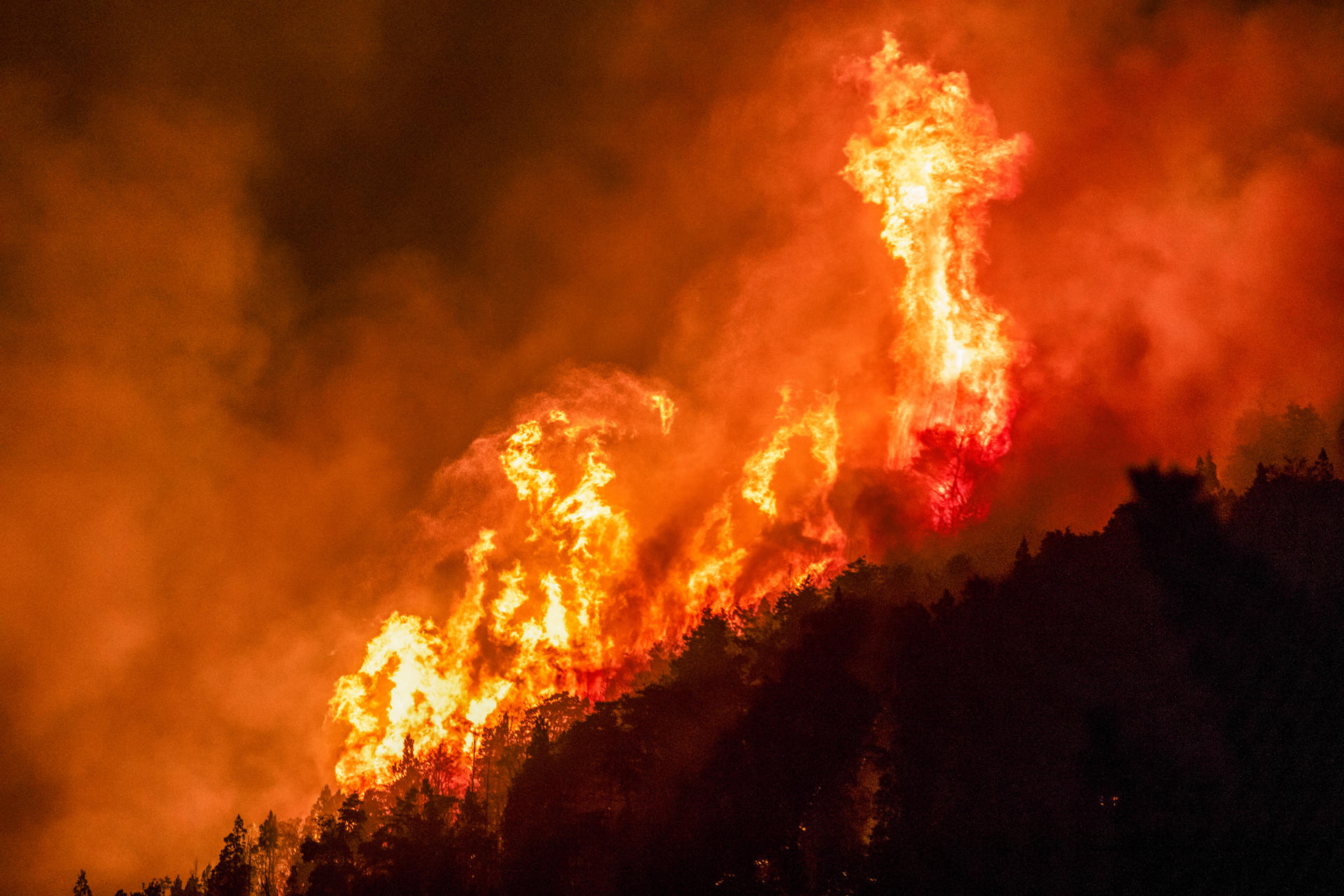 Incendios forestales en El Hoyo, provincia de Chubut (Argentina)