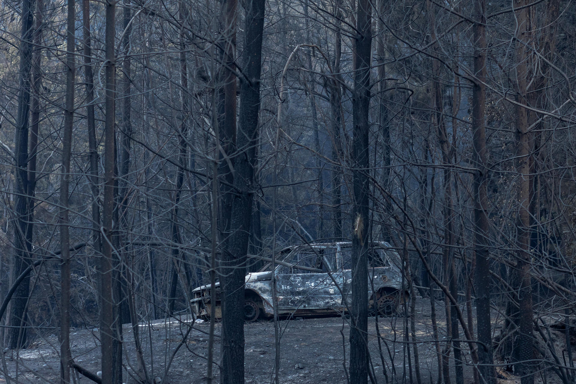 Zona afectada por los incendios forestales en El Hoyo, provincia de Chubut (Argentina)