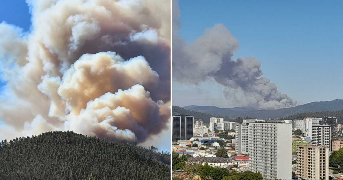 Incendio afecta al sector Puente 1 en Concepción: gran columna de humo se ve desde distintos puntos