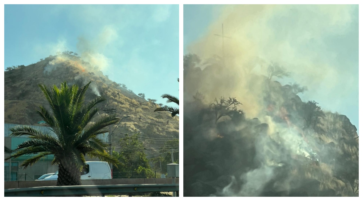Auditores reportan incendio en el Cerro Renca en Quilicura