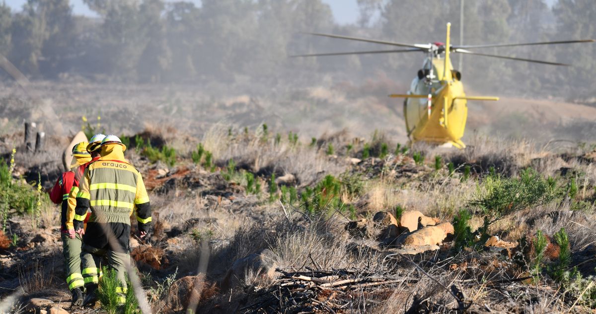 Senapred declara Alerta Roja para Temuco por incendio forestal