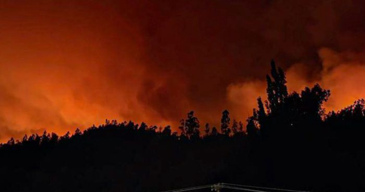 Incendio forestal en Concepción: 10 viviendas consumidas por las llamas y 800 hectáreas afectadas