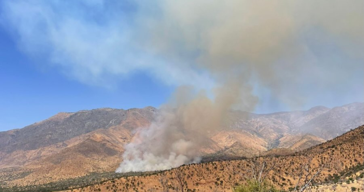 Incendio en Tiltil activa cuarta alarma y ha consumido más de 800 hectáreas