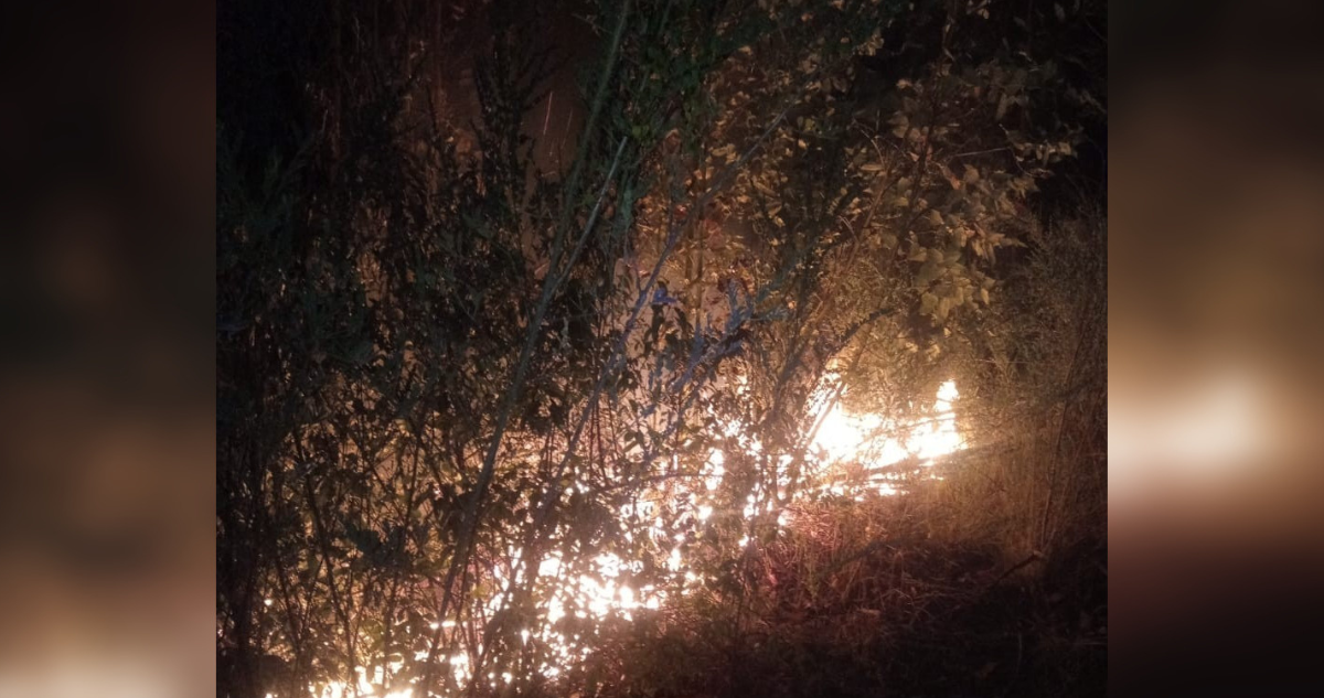Desconocidos amenazan con disparos a brigadistas que combatían incendio forestal en Curanilahue
