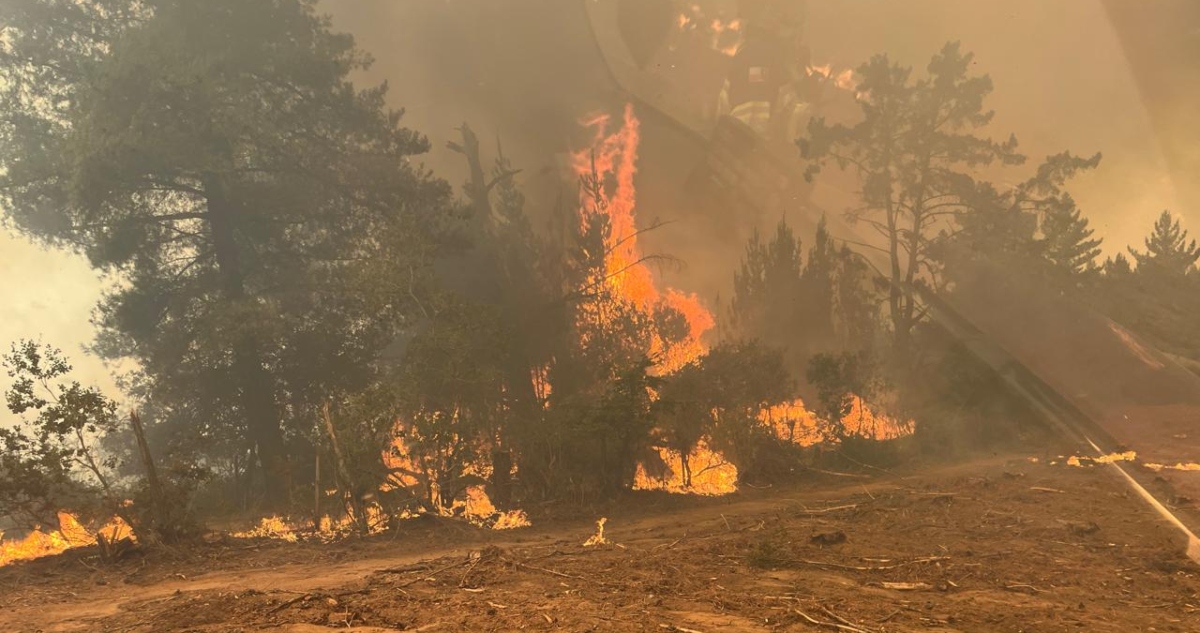 https://media.biobiochile.cl/wp-content/uploads/2026/01/incendio-forestal-florida-quillon-1.jpg