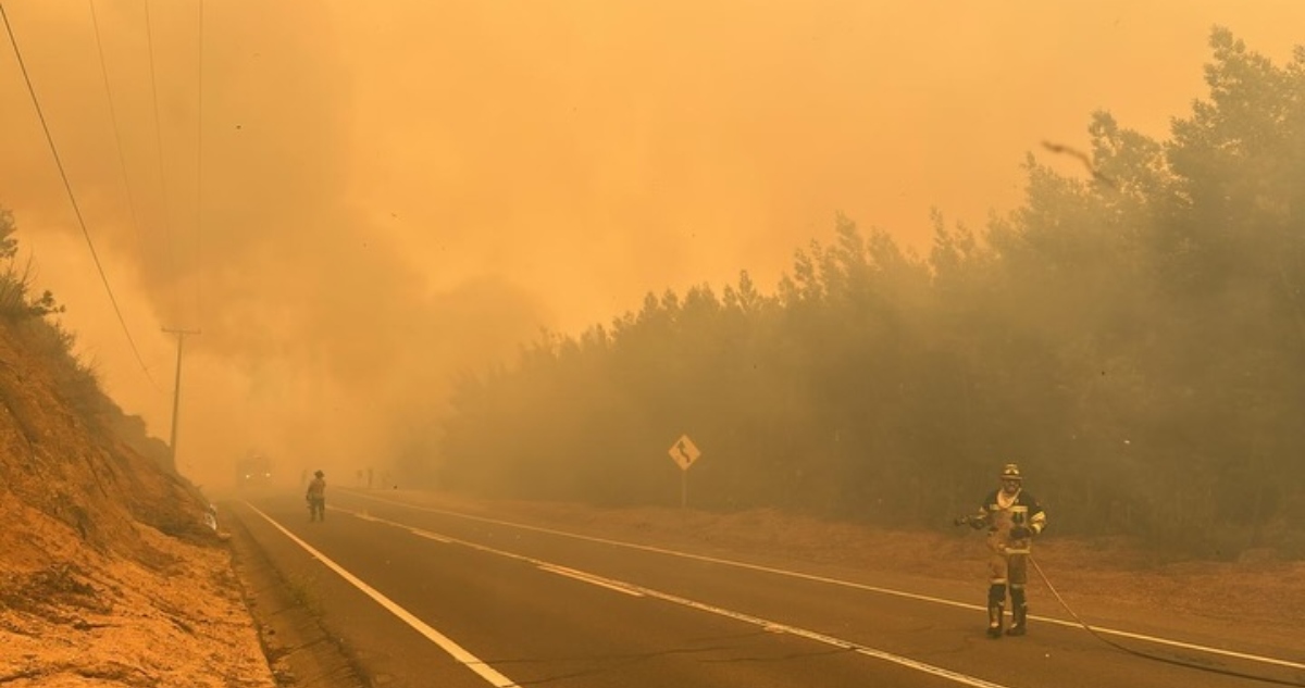 https://media.biobiochile.cl/wp-content/uploads/2026/01/incendio-forestal-florida.jpg