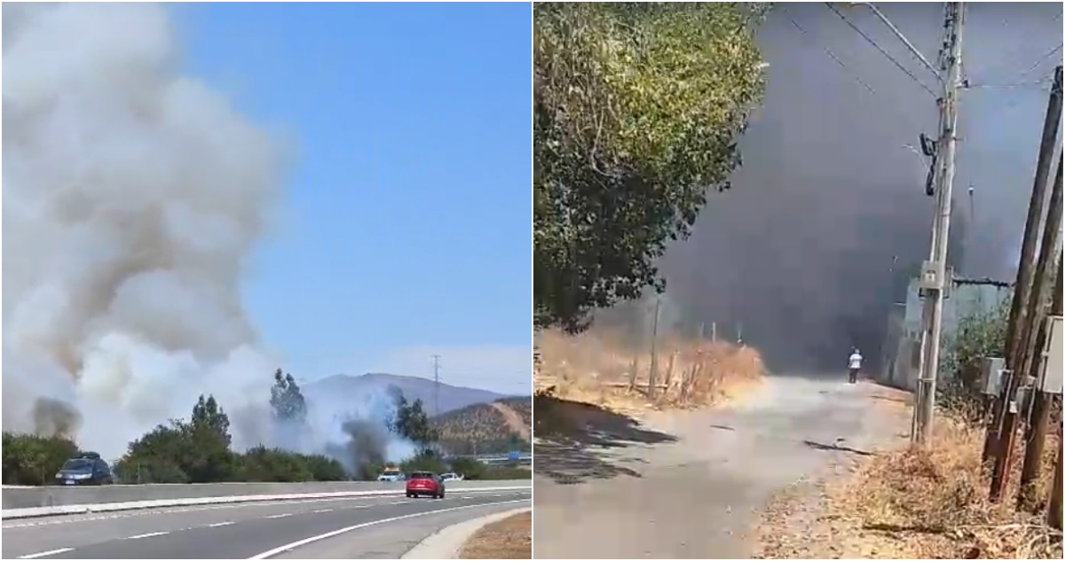Incendio forestal en Limache