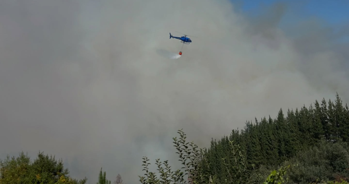 https://media.biobiochile.cl/wp-content/uploads/2026/01/incendio-forestal-ranquil.jpg