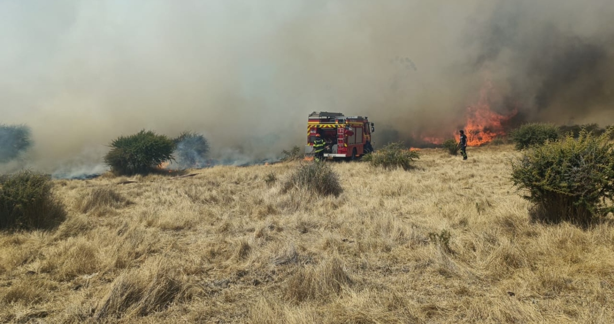 https://media.biobiochile.cl/wp-content/uploads/2026/01/incendio-forestal-san-nicolas.jpg