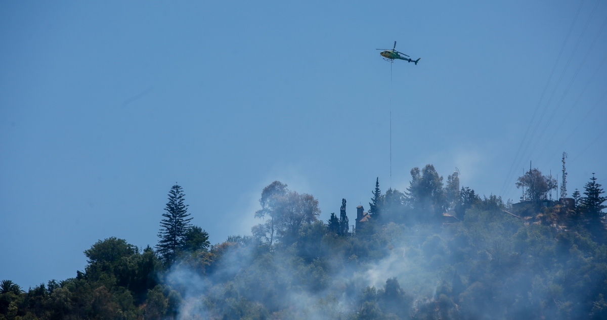 Incendio forestal en Traiguén