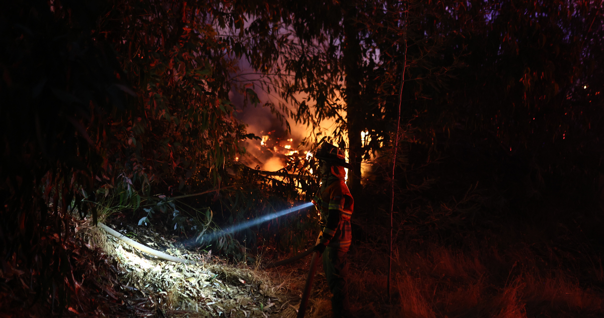 Conaf controla incendio que se generó por la caída de un rayo en un sector rural de Santa Barbara