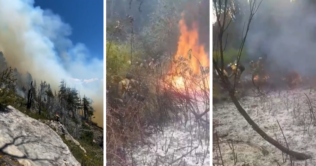 Incendios en la Patagonia argentina no cesan y ya han arrasado 21.000 hectáreas