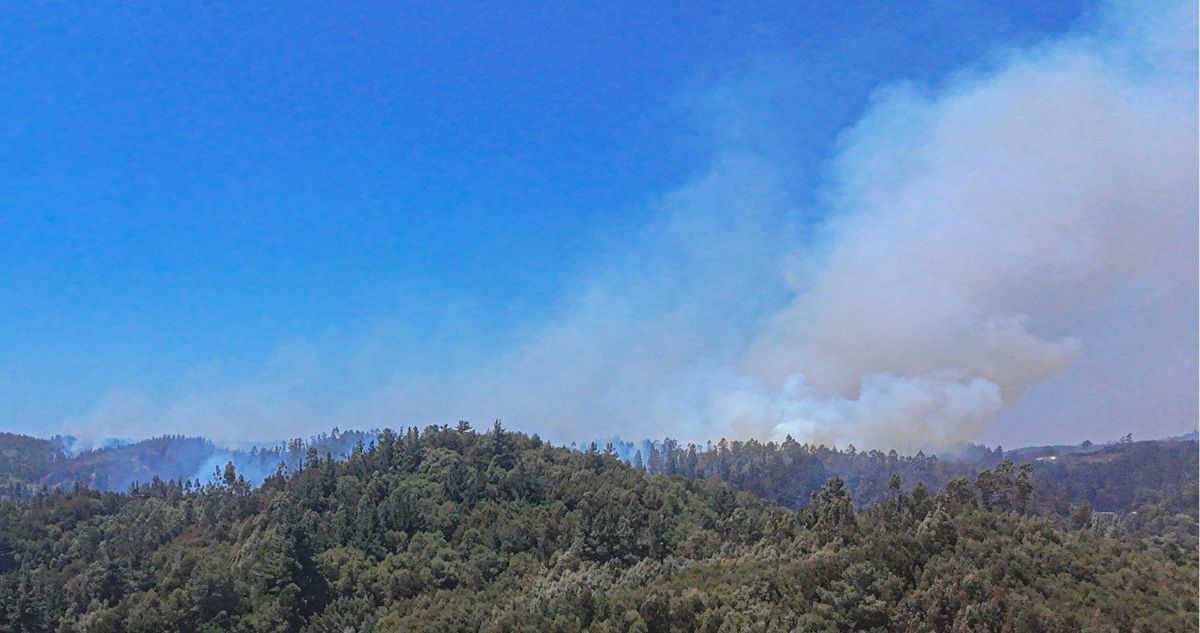 Corma pide extremar prevención para evitar incendios en Ñuble y Bío Bío ante altas temperaturas