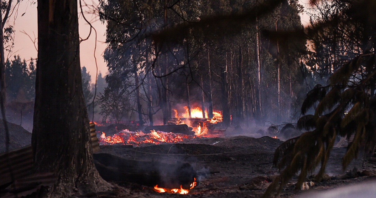 La Araucanía: Gobierno pide a agricultores respetar Faena Cero para evitar incendios por negligencias