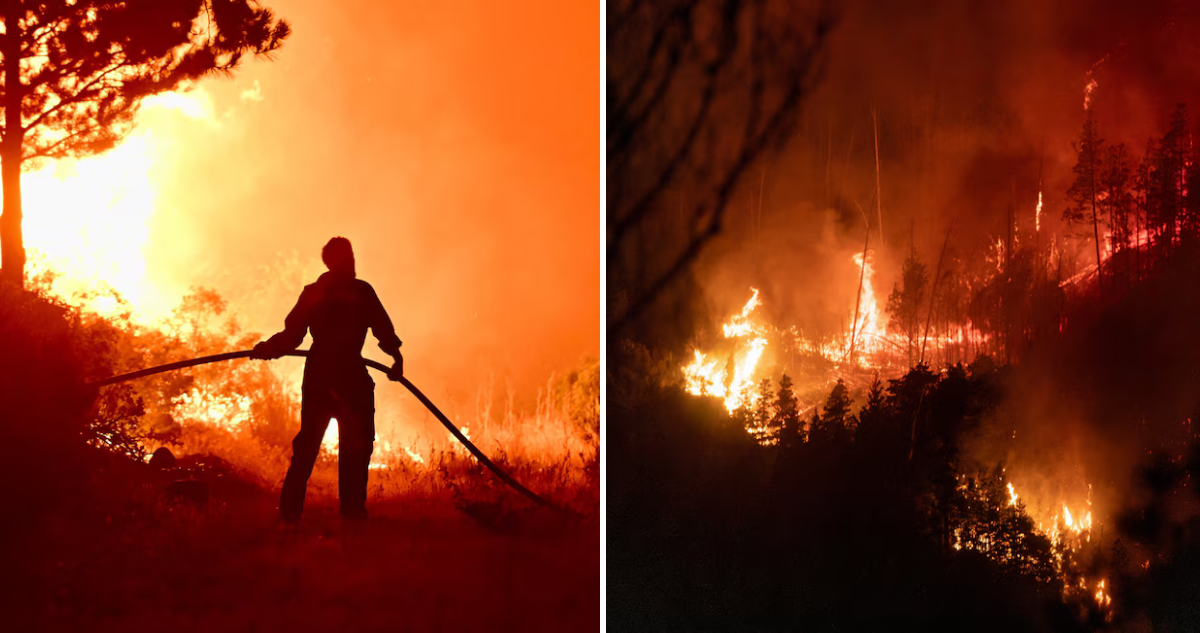 Emergencia por incendios en Argentina
