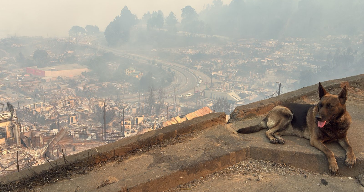 Lucas Aguayo | Agencia Uno