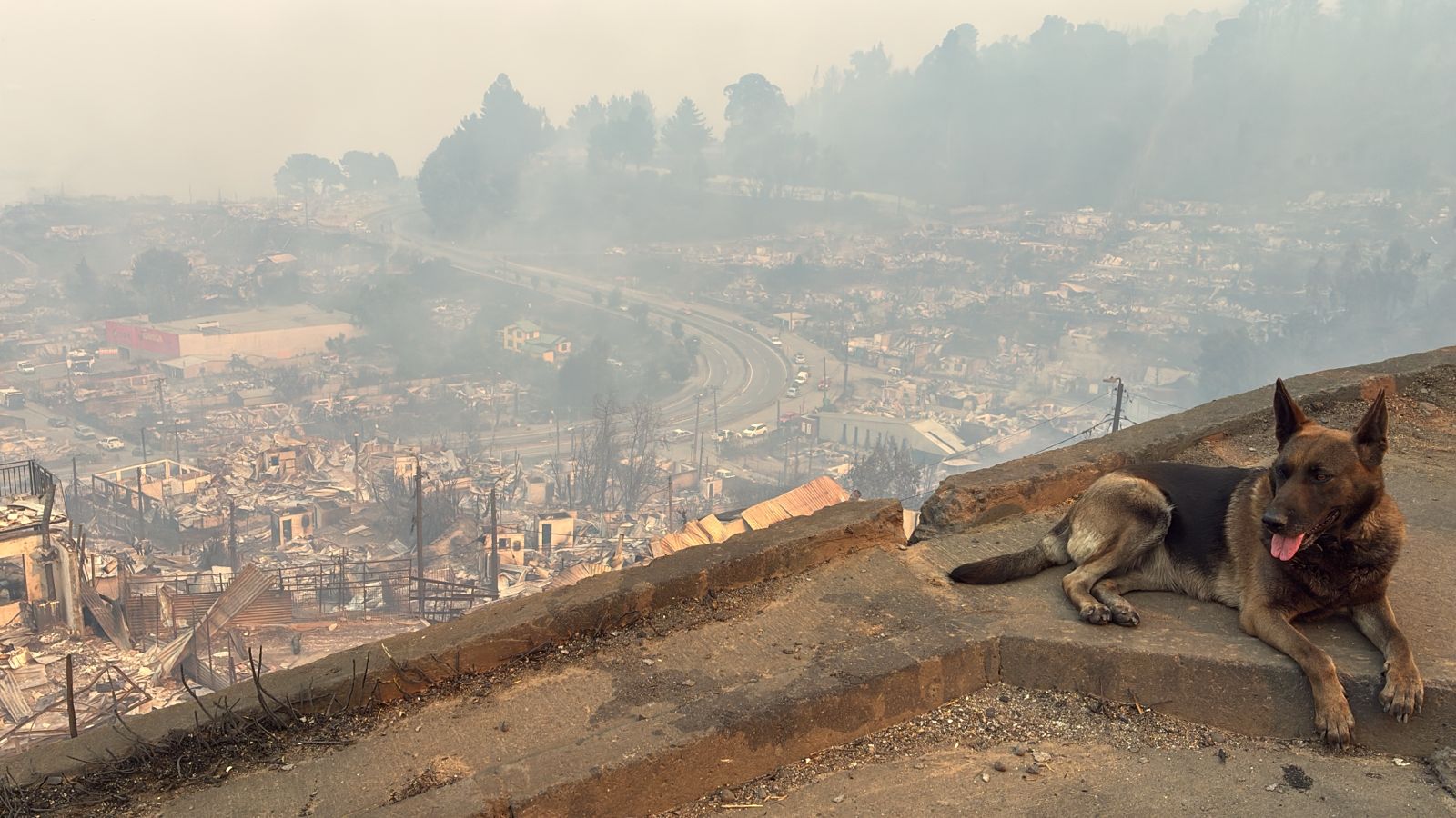 Lucas Aguayo | Agencia Uno