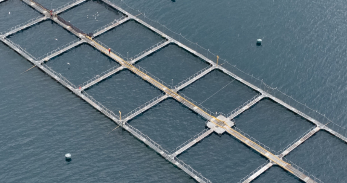 CONTEXTO | Agencia UNO