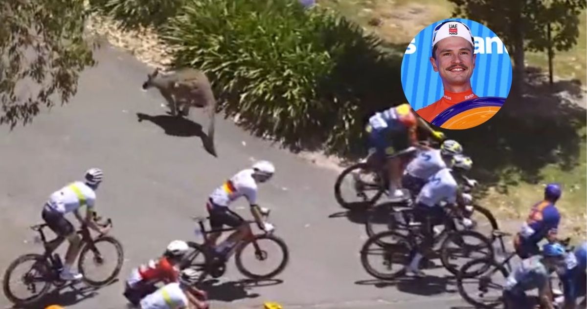 Canguro lo botó y aún así ganó: ciclista Jay Vine protagoniza particular accidente en Australia