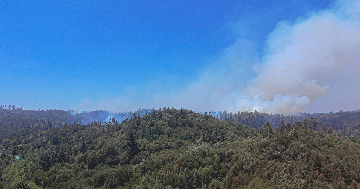La Araucanía: agricultores molestos con Gobierno por emplazamiento sobre responsabilidad en incendios