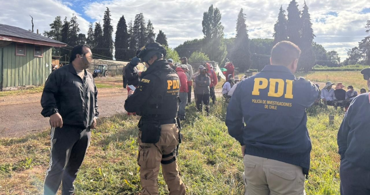 Descubren a bolivianos realizando labores agrícolas en fundos de la provincia de Osorno
