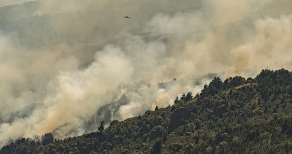 Incendios en Argentina: qué dice la norma de la Ley de Manejo de Fuego que el gobierno propuso derogar