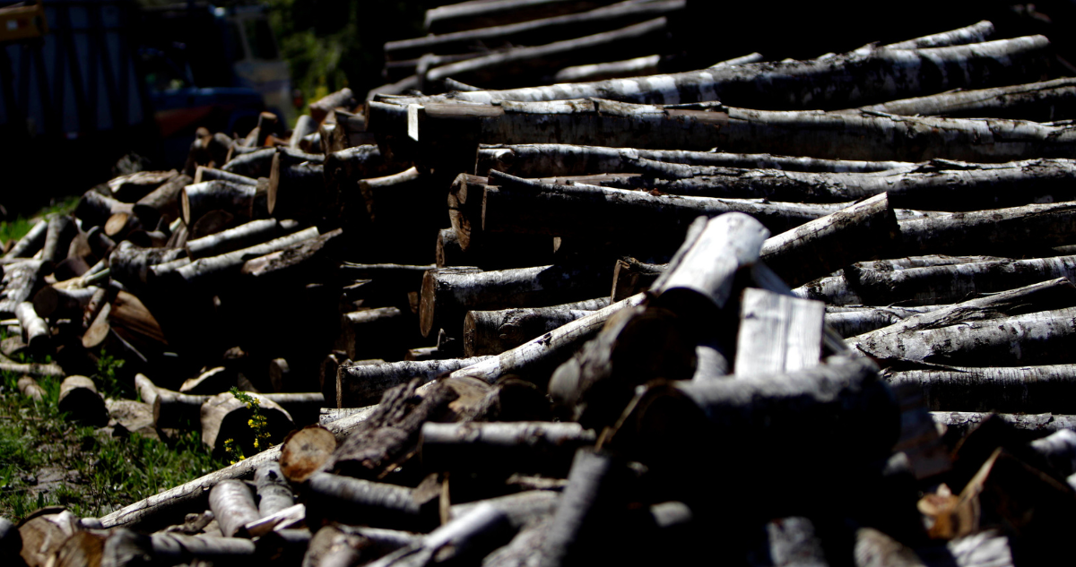 Dron los dejó al descubierto: detienen a 4 hombres por robo de madera en una zona rural de Lanco