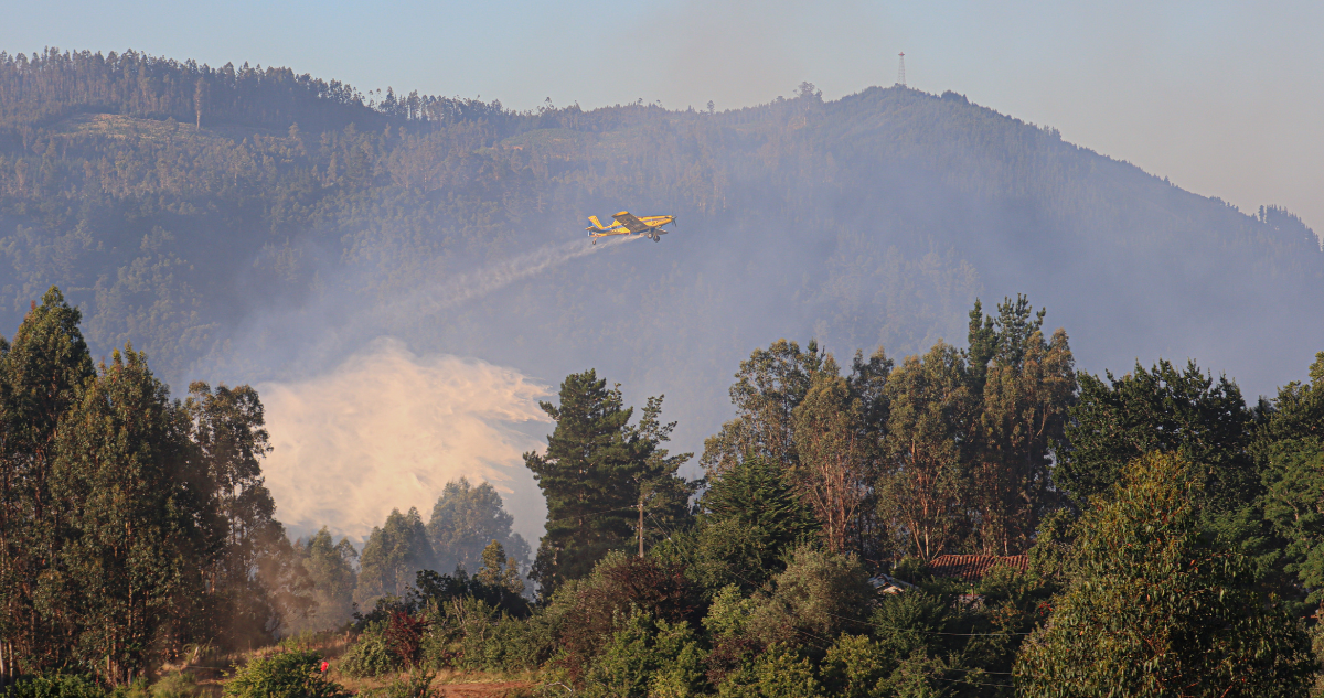 Más de 67 mil hectáreas de plantaciones forestales reabren debate por riesgos de incendios en región de Los Lagos