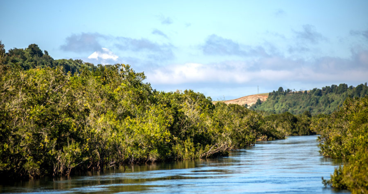 Menor fue rescatada tras caer a las aguas del río Maullín: un adulto permanece desaparecido