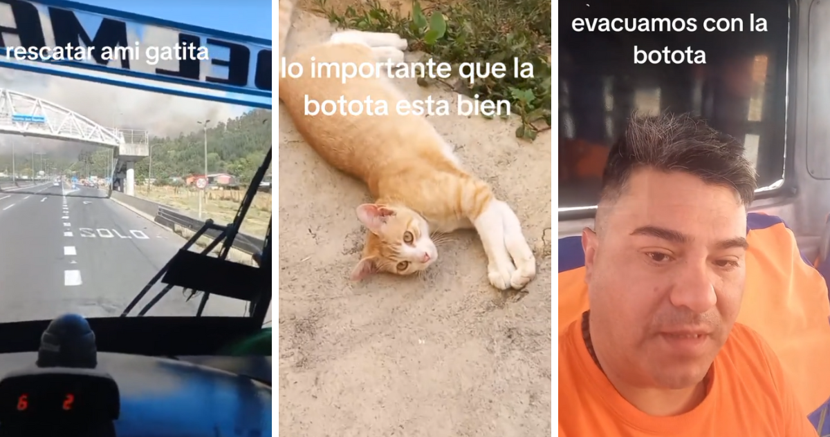 Capturas de micrero que escapó con su gatita de incendios