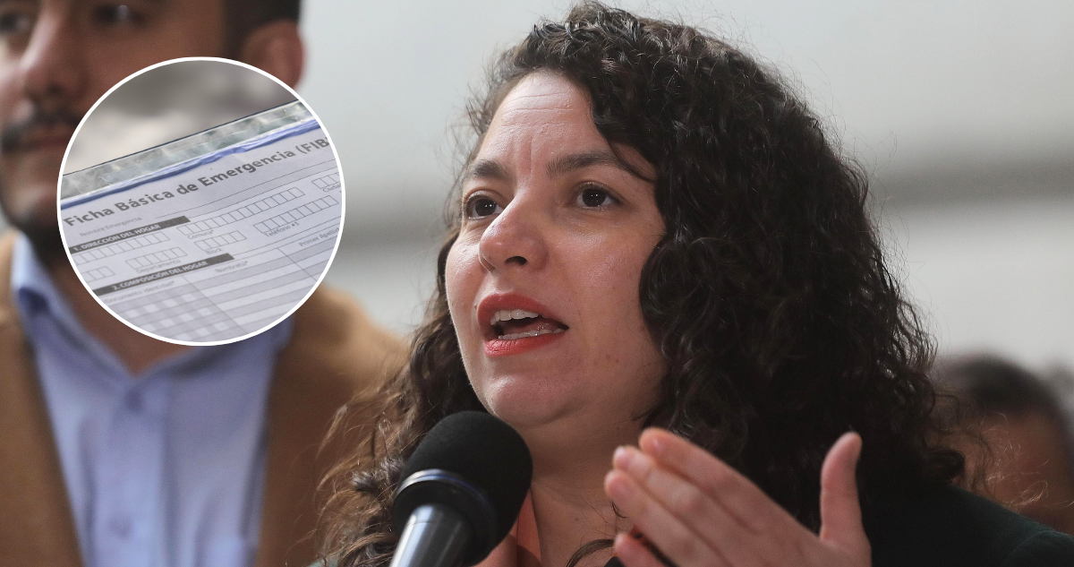 Ministra Toro confirma 702 hogares con ficha FIBE terminada en Ñuble y Bío Bío tras incendios