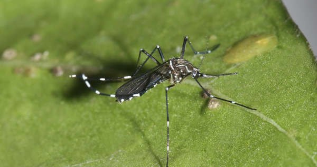 Seremi de Salud de la región Metropolitana