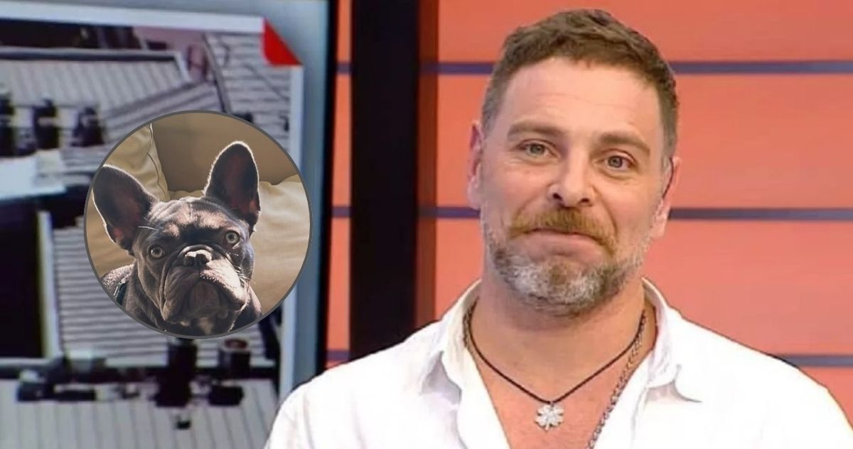 José Antonio Neme lamenta muerte de su mascota regalona en pleno inicio de sus vacaciones a la India