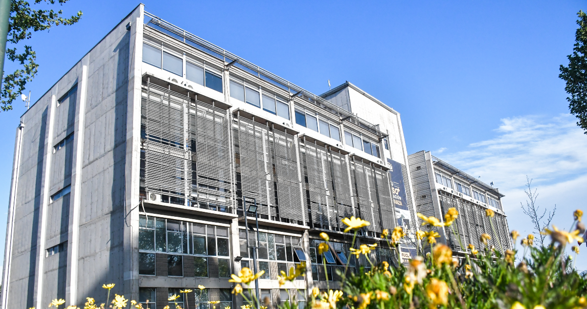 Municipalidad de Maipú denuncia a supuesta dirigenta de campamento Santa Marta por estafa a familias