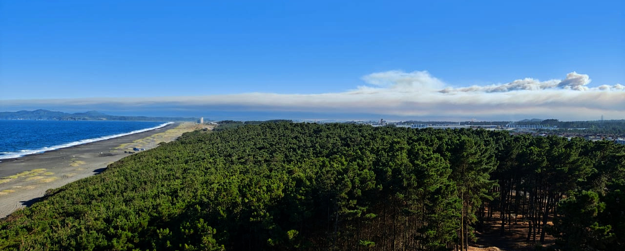 Christian Leal | BioBioChile