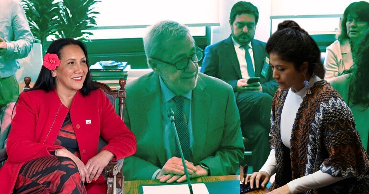 “Me parece excesiva”: Diputada Ñanco critica sanción del Gobierno a Pakarati tras polémicos dichos